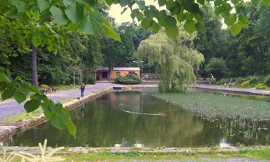 Riethpark (Foto: Theo Knauth) Riethpark (Foto: Theo Knauth)