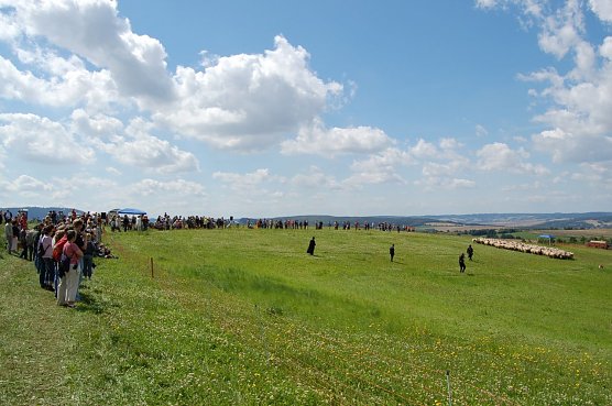 Leistungsh&uuml;ten (Foto: Christoph Neumann)