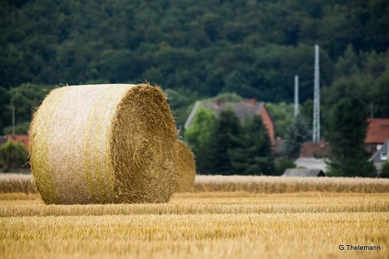 Wetter-Bild (Foto: Gernot Thelemann)