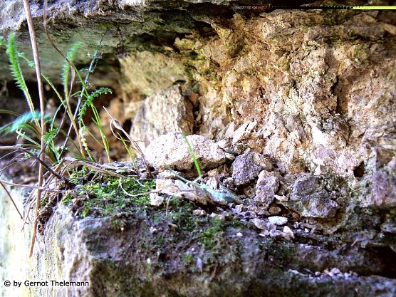 Wetter-Bild (Foto: Gernot Thelemann)