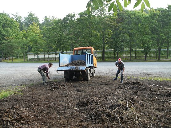 Holzber&auml;umung (Foto: Ilka K&uuml;hn)
