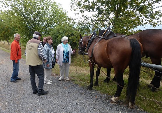 Sultan und Macho (Foto: Werner Probst)