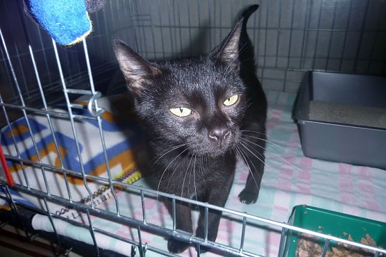 Schnecke (Foto: B. Hellrung)