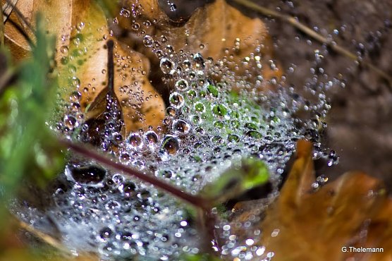 Wetter-Bild (Foto: Gernot Thelemann)