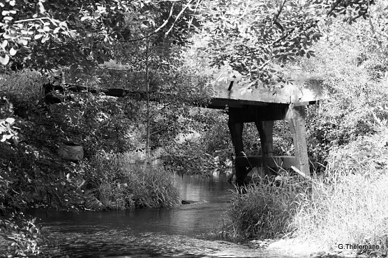 Wetter-Bild (Foto: Gernot Thelemann)