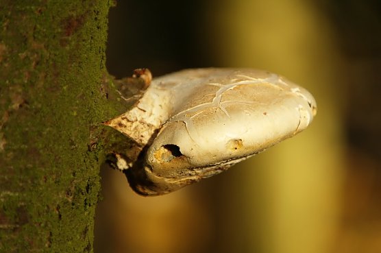 Wetterbild (Foto: Gernot Thelemann) Wetterbild (Foto: Gernot Thelemann)