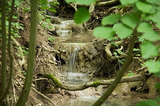 Wetterbild (Foto: Gernot Thelemann)