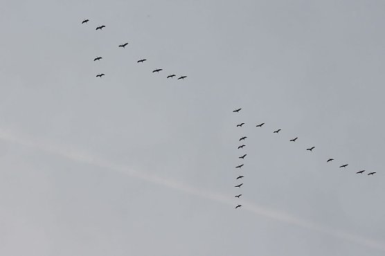 Wetterbild (Foto: Angelo Glashagel)