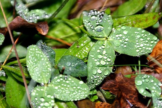 Wetterbild (Foto: Gernot Thelemann)