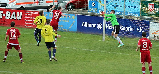 Starke G&auml;ste auf dem G&ouml;ldner von Sondershausen (Foto: Karl-Heinz Herrmann)