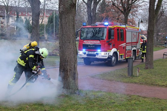 Baumbrand (Foto: Feuerwehr Heiligenstadt)