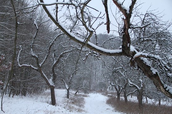 Wetterbild (Foto: Angelo Glashagel)