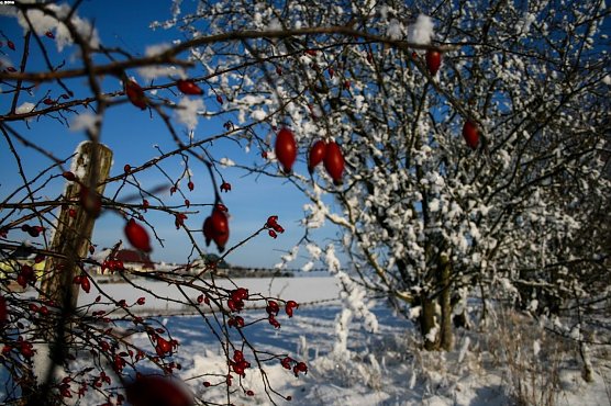 Wetter-Bild (Foto: Gernot Thelemann)