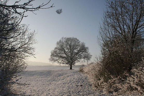 Wetterbild (Foto: Gernot Thelemann) Wetterbild (Foto: Gernot Thelemann)