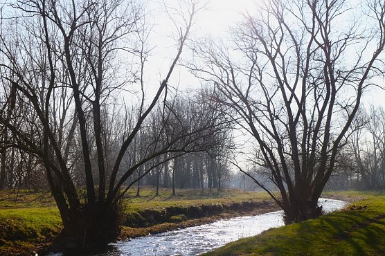 Wetterbild (Foto: Angelo Glashagel)