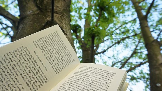 Zum Tag des Buches (Foto: Daniela Troegerx) Zum Tag des Buches (Foto: Daniela Troegerx)