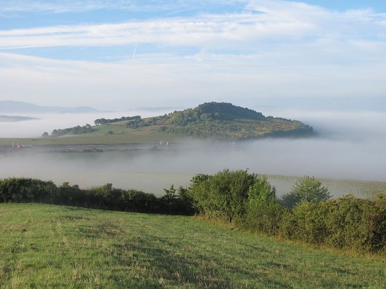 Pferdeberg Gr&uuml;nes Band (Foto: Sielmann-Stiftung)