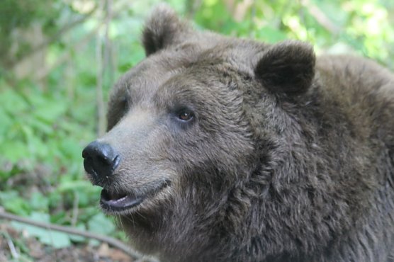 Conny (Foto: Ralf Wettengel) Conny (Foto: Ralf Wettengel)