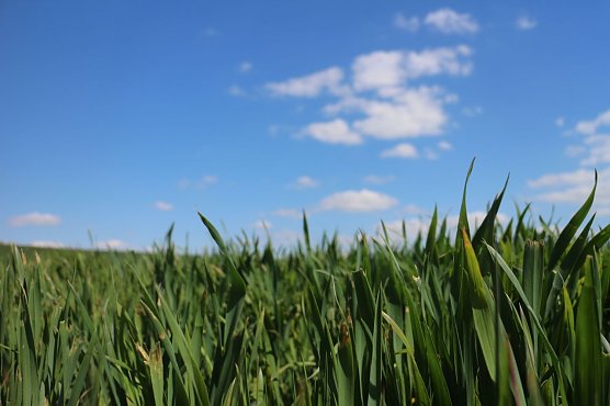 Wetterbild (Foto: Angelo Glashagel) Wetterbild (Foto: Angelo Glashagel)