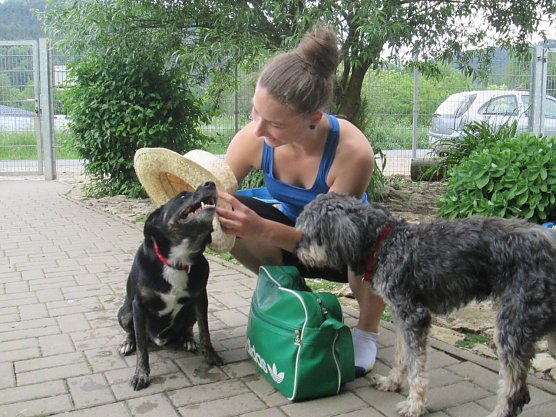 Mit Hunden in den Urlaub (Foto: Karin Ziegler) Mit Hunden in den Urlaub (Foto: Karin Ziegler)