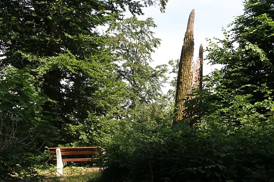 Wetterbild (Foto: Angelo Glashagel)