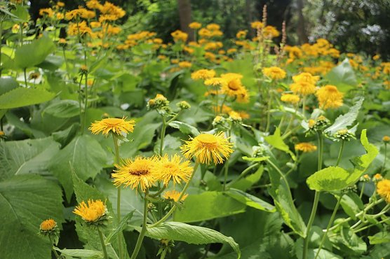 Wetterbild (Foto: Angelo Glashagel) Wetterbild (Foto: Angelo Glashagel)