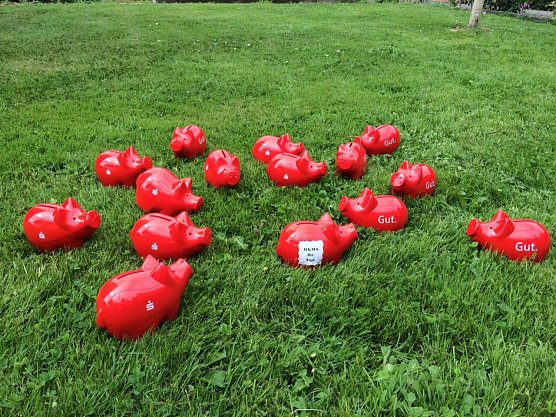 Sparb&uuml;chsen (Foto: Heike B&uuml;chner)