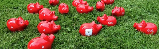 Hilfe f&uuml;r Anja  (Foto: Heike B&uuml;chner)