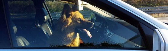 Platz genommen (Foto: API)