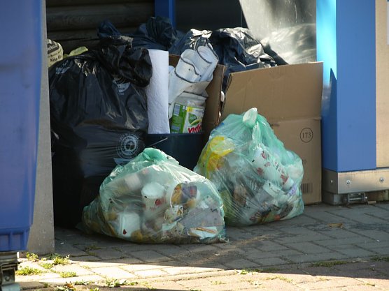 M&uuml;ll (Foto: Ilka K&uuml;hn)