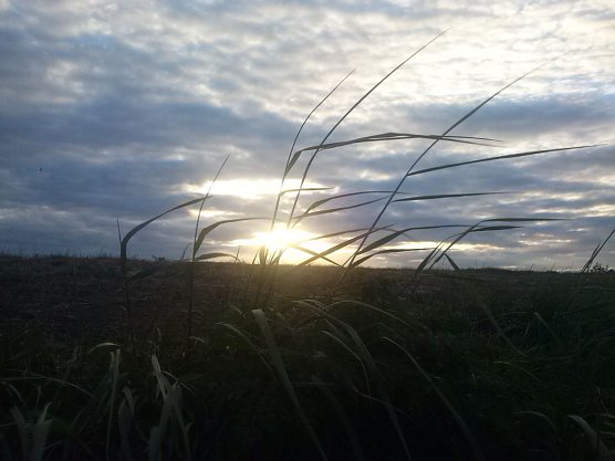 Wetterbild (Foto: Angelo Glashagel)