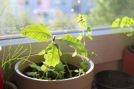 Wetterbild (Foto: Angelo Glashagel)