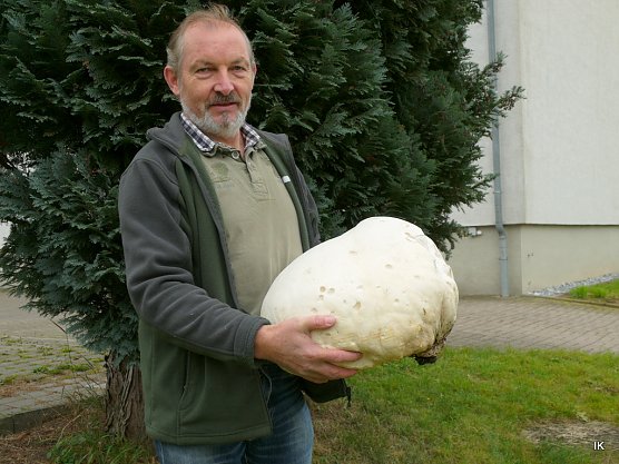 Hans-Bernd Hartmann mit Riesenbovist (Foto: Ilka K&uuml;hn)