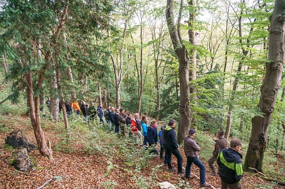 Urwaldpfad (Foto: Stadt HH)