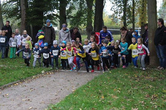 Stadtparklauf (Foto: Karl-Heinz Herrmann) Stadtparklauf (Foto: Karl-Heinz Herrmann)