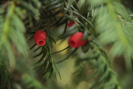 Wetterbild (Foto: Angelo Glashagel)