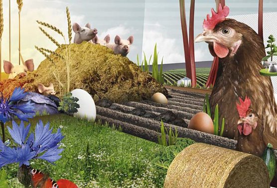 Grafik (Foto: Greenpeace)