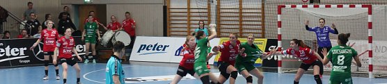 Thüringer HC gegen FTC Rail Cargo Hungaria (Foto: Angelo Glashagel) Thüringer HC gegen FTC Rail Cargo Hungaria (Foto: Angelo Glashagel)