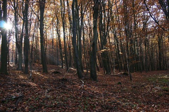 Wetterbild (Foto: Gernot Thelemann) Wetterbild (Foto: Gernot Thelemann)