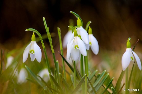 Wetterbild (Foto: Gernot Thelemann)