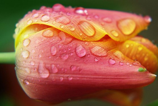 Wetterbild (Foto: Gernot Thelemann) Wetterbild (Foto: Gernot Thelemann)