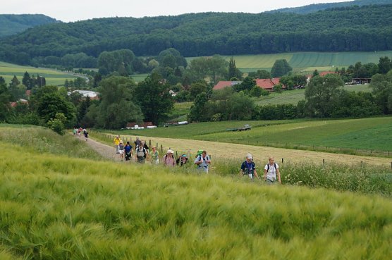 bei Seulingen (Foto: Daniela Reichhardt)