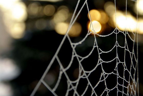 Wetter-Bild (Foto: Gernot Thelemann)