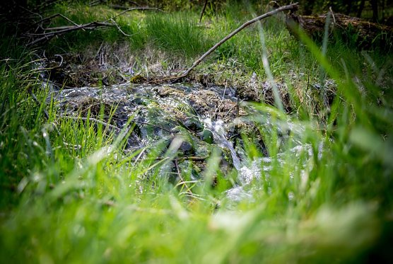 Wetterbild (Foto: Gernot Thelemann) Wetterbild (Foto: Gernot Thelemann)