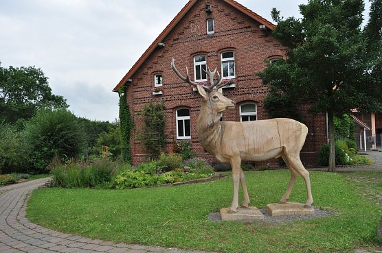 Platzhirsch (Foto: Gut Herbigshagen) Platzhirsch (Foto: Gut Herbigshagen)