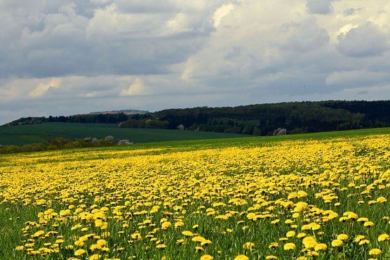 Wetter-Bild (Foto: Gernot Thelemann)