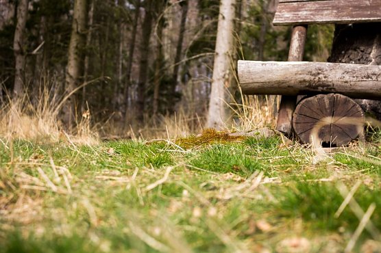 Wetter-Bild (Foto: Gernot Thelemann)