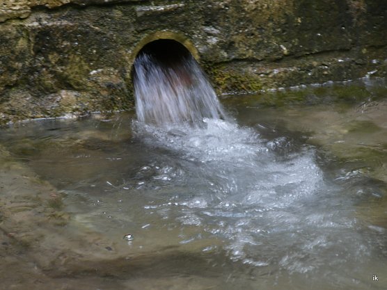 Quellen sprudeln und laufen &uuml;ber (Foto: Ilka K&uuml;hn)