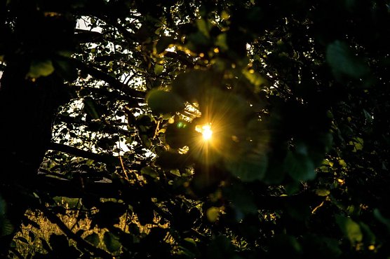 Wetterbild (Foto: Gernot Thelemann) Wetterbild (Foto: Gernot Thelemann)