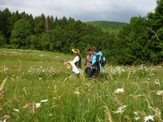 Kräutersammlung (Foto: Susanne Merten) Kräutersammlung (Foto: Susanne Merten)